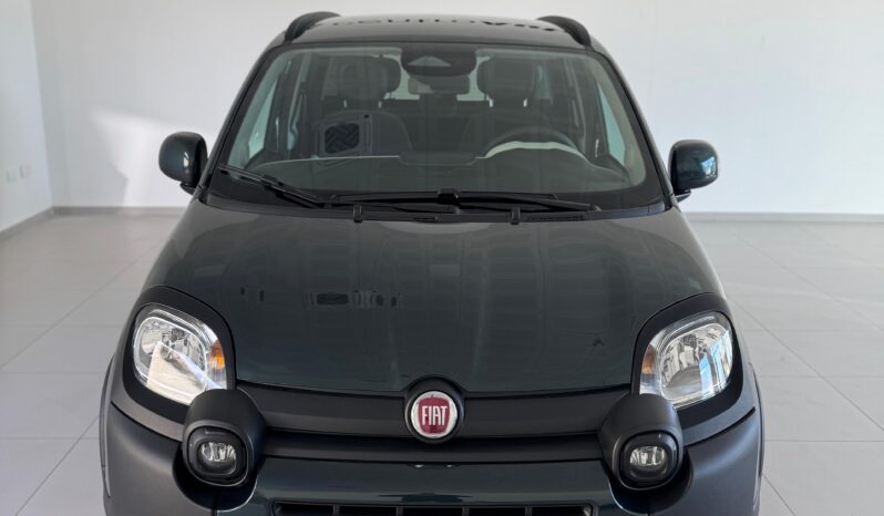 
								FIAT PANDA CROSS 1.0 FIRE FLY S&S full									