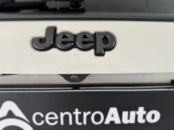 
										JEEP COMPASS 2^serie 2.0 MULTIJET II AUTOMATIC 4WD full									