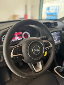 
										JEEP Renegade 2019 1.0 t3 Limited 2wd full									