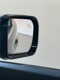 
										Land Rover Defender X-Dynamic SE 3.0 Diesel/Elettrica full									