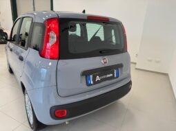 
										Panda III 2021 1.0 firefly hybrid full									