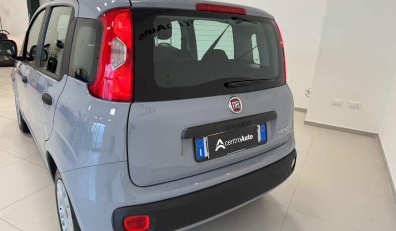 
								Panda III 2021 1.0 firefly hybrid full									