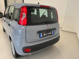 
										Panda III 2021 1.0 firefly hybrid full									