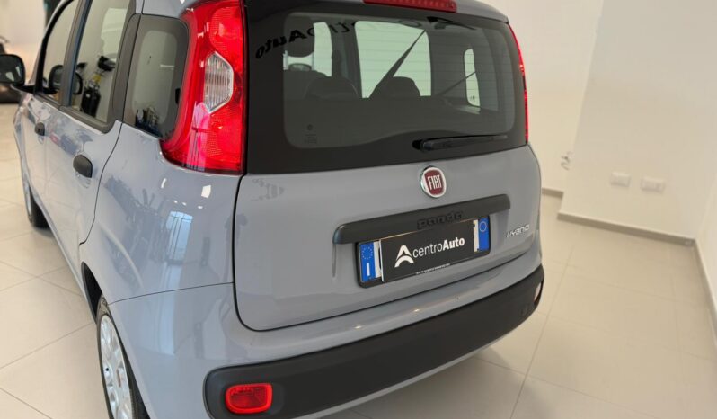 
								Panda III 2021 1.0 firefly hybrid full									