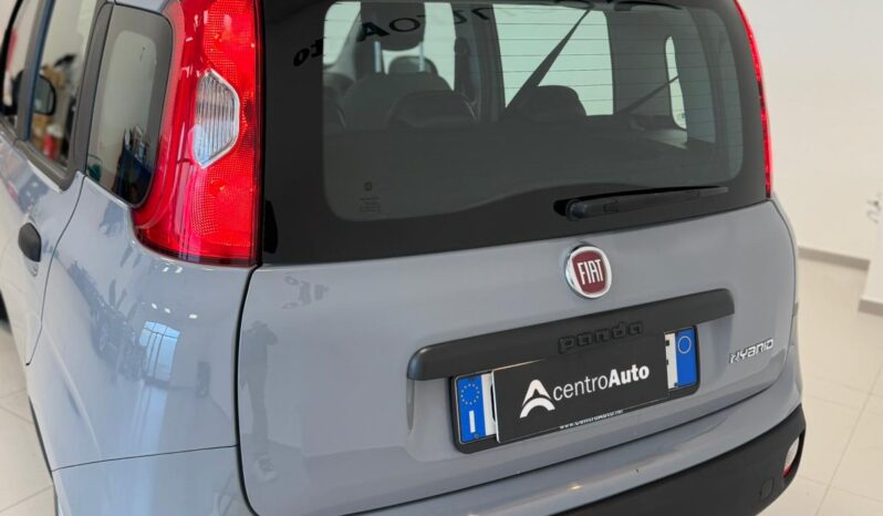 
								Panda III 2021 1.0 firefly hybrid full									