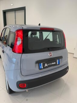 
										Panda III 2021 1.0 firefly hybrid full									