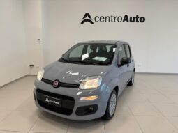 
										Panda III 2021 1.0 firefly hybrid full									