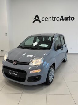 
										Panda III 2021 1.0 firefly hybrid full									