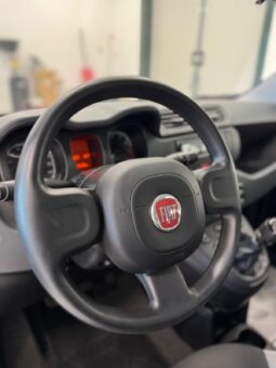 
										Panda III 2021 1.0 firefly hybrid full									