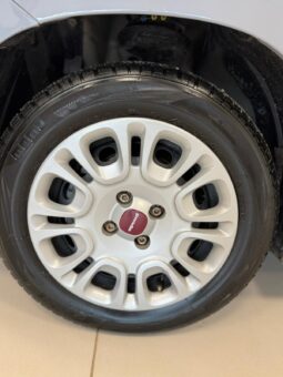 
										Panda III 2021 1.0 firefly hybrid full									