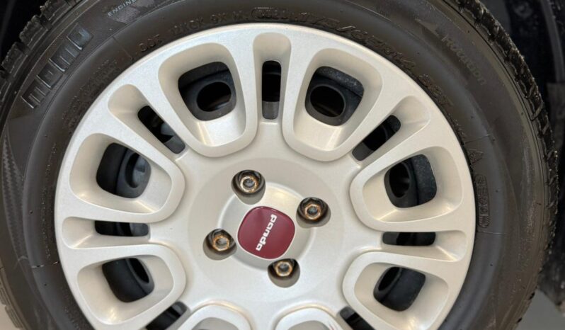 
								Panda III 2021 1.0 firefly hybrid full									