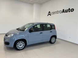 
										Panda III 2021 1.0 firefly hybrid full									