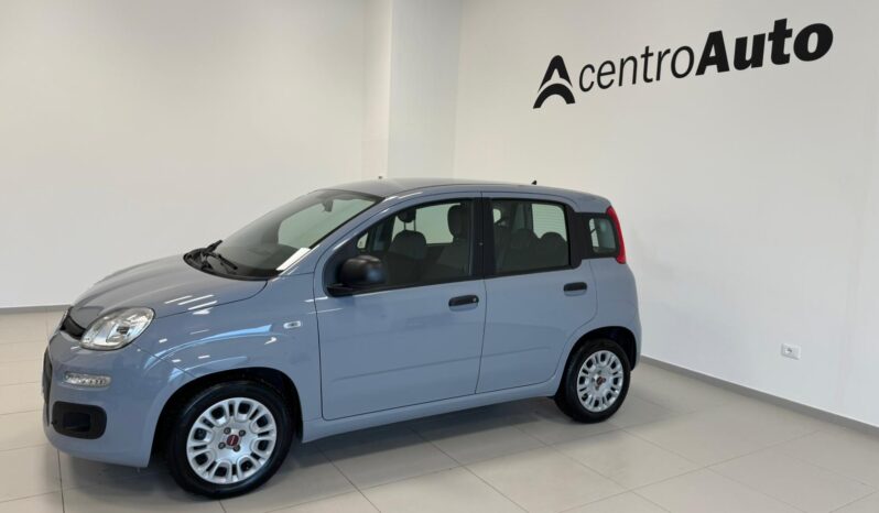 
								Panda III 2021 1.0 firefly hybrid full									