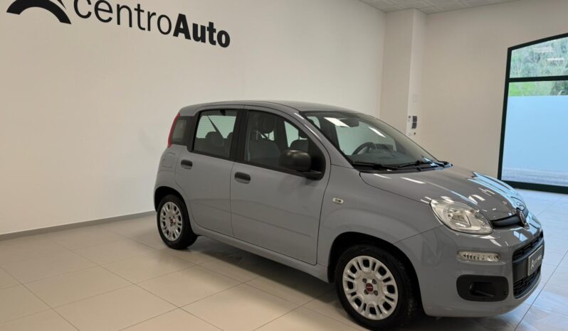 
								Panda III 2021 1.0 firefly hybrid full									