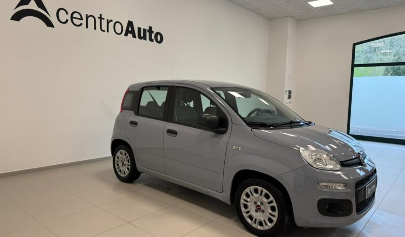 
								Panda III 2021 1.0 firefly hybrid full									