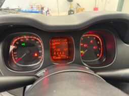 
										Panda III 2021 1.0 firefly hybrid full									