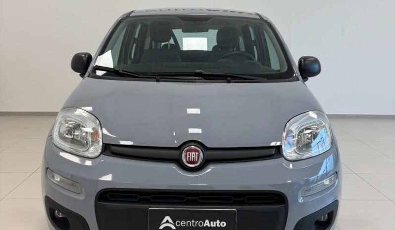 
								Panda III 2021 1.0 firefly hybrid full									