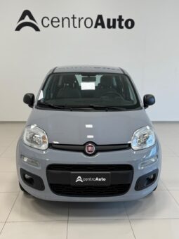 
										Panda III 2021 1.0 firefly hybrid full									