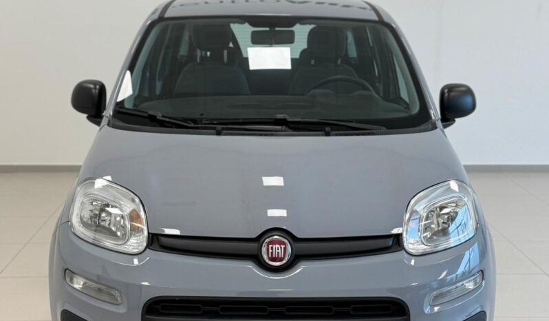 
								Panda III 2021 1.0 firefly hybrid full									