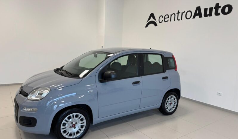 
								Panda III 2021 1.0 firefly hybrid full									