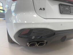 
										A5 Avant 2.0 tdi mhev S line edition 204cv s-tronic full									